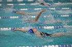 Swim vs Bentley  Wheaton College Swimming & Diving vs Bentley University. - Photo by Keith Nordstrom : Wheaton, Swimming & Diving